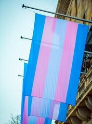 Vergrößerte Ansicht von Trans*Aktionswochen: Beflaggung Rathaus
